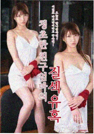 日韩剧双城回声海报